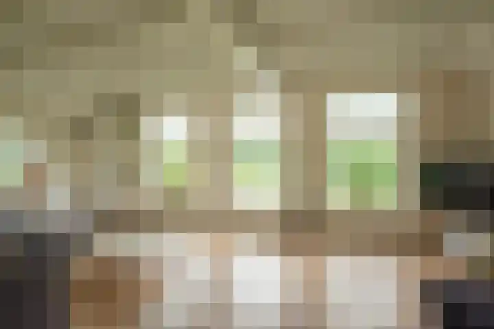 Veenhuizerveldweg 15 Putten thumbnail 7