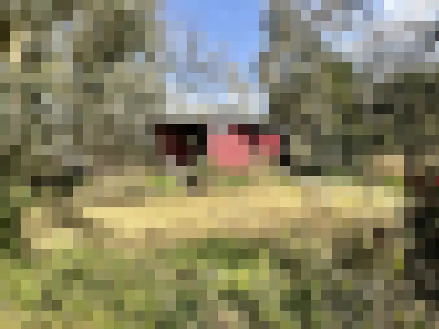 Veenhuizerveldweg 16 6 Putten thumbnail 18