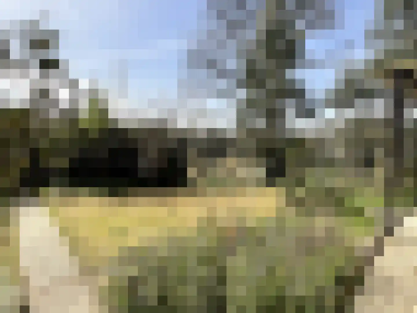 Veenhuizerveldweg 16 6 Putten thumbnail 19