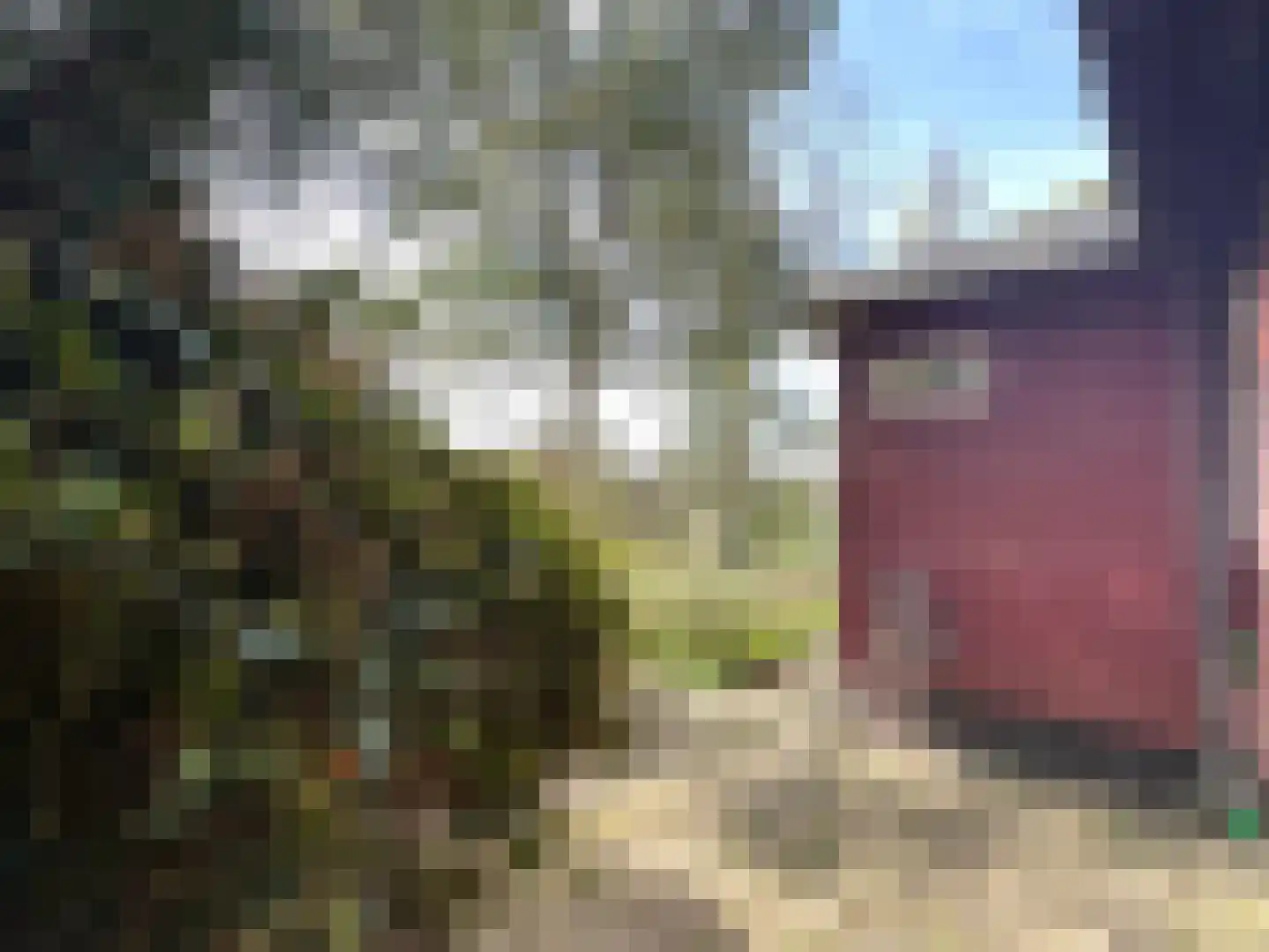 Veenhuizerveldweg 16 6 Putten thumbnail 22