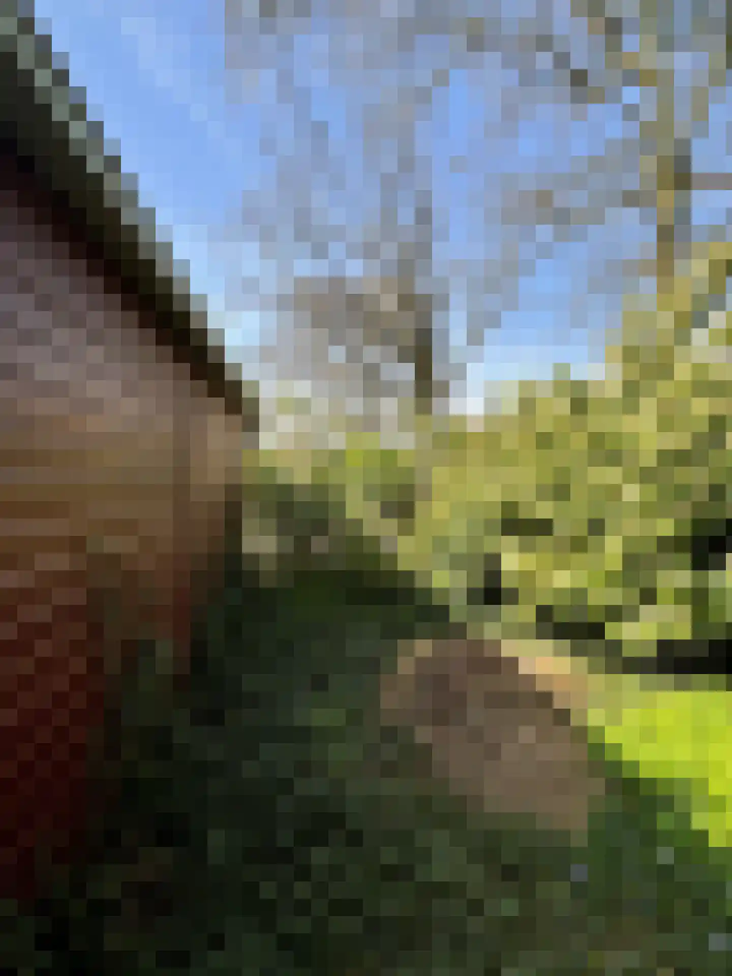 Veenhuizerveldweg 16 6 Putten thumbnail 25