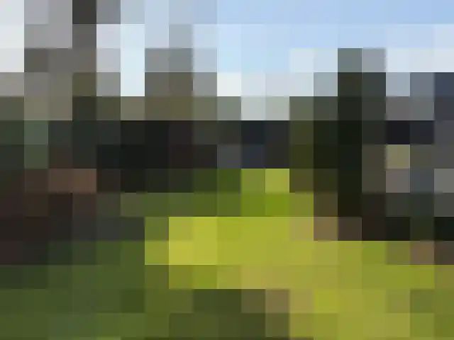 Veenhuizerveldweg 16 67 Putten thumbnail 22