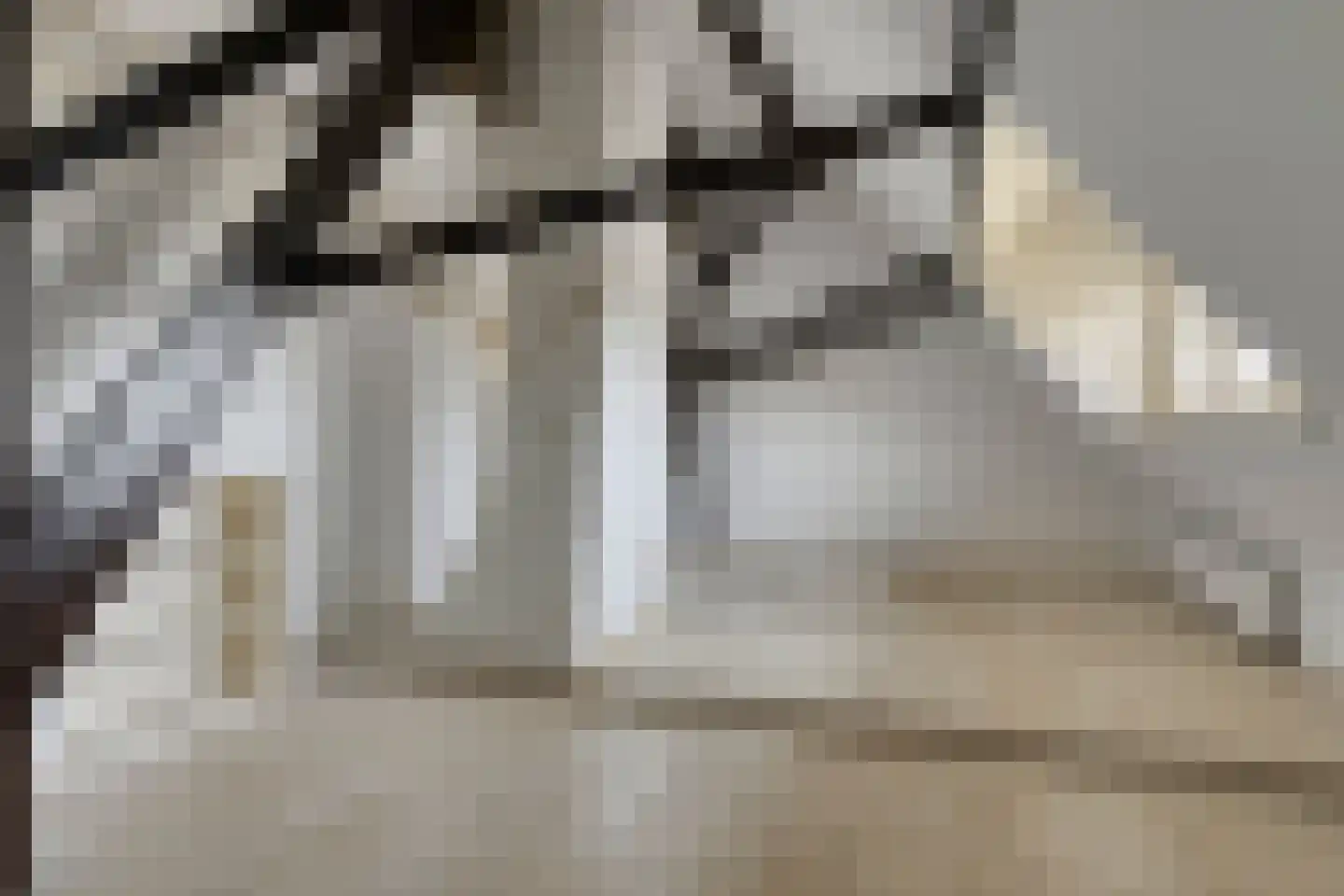 Veenhuizerweg 2 Heerhugowaard thumbnail 25