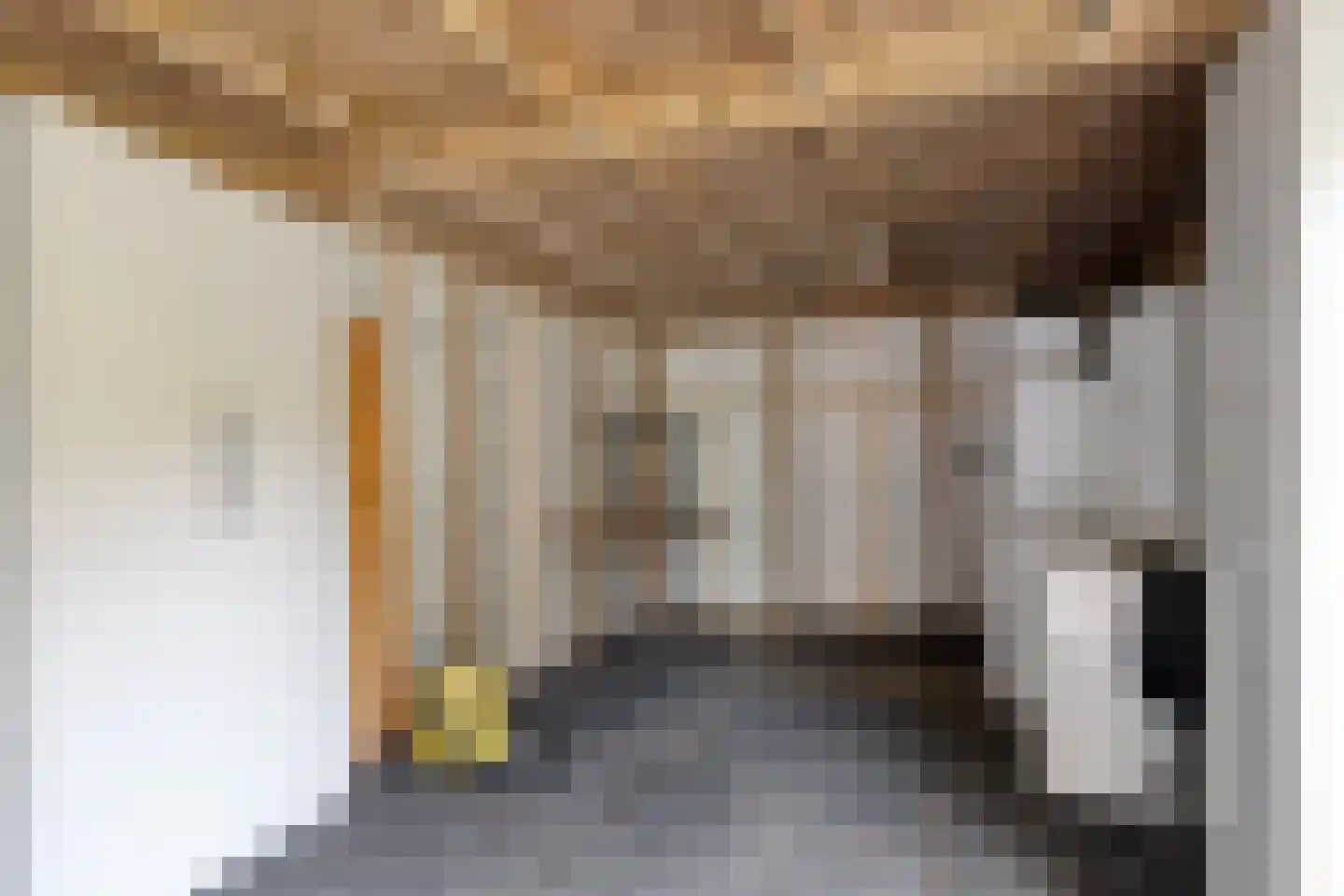 Veenhuizerweg 2 Heerhugowaard thumbnail 54