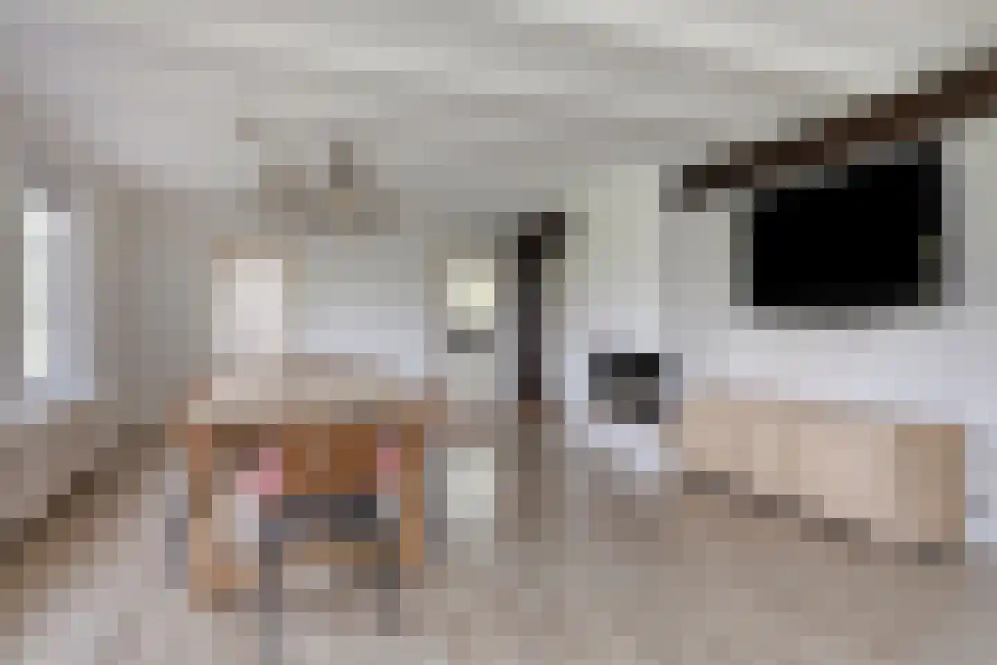 Veenhuizerweg 2 Heerhugowaard thumbnail 7