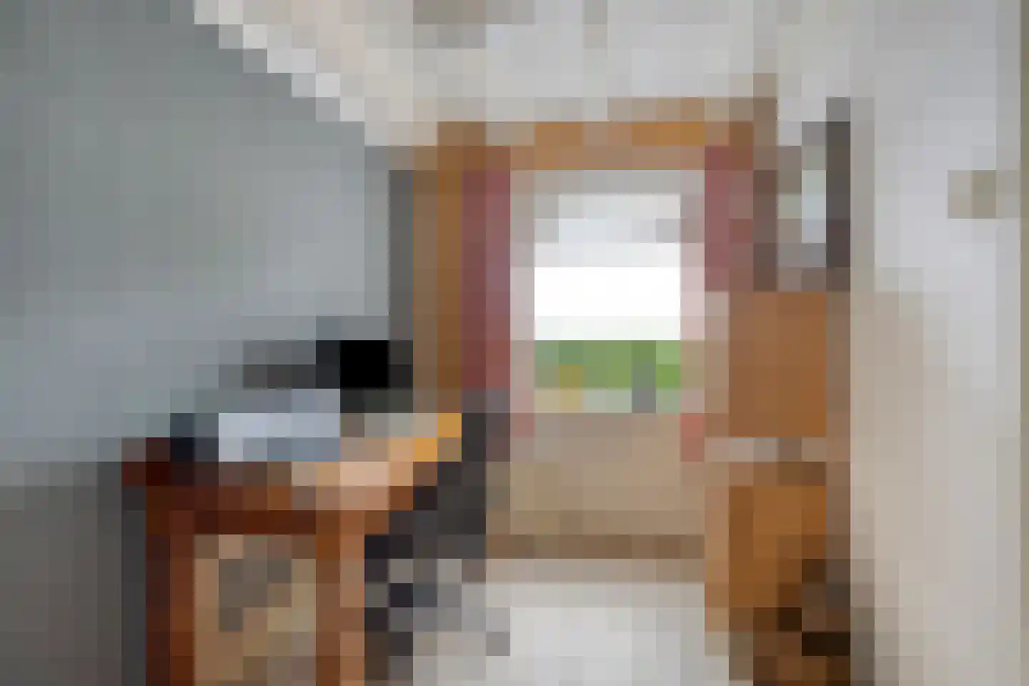 Veenhuizerweg 25 Heerhugowaard thumbnail 11