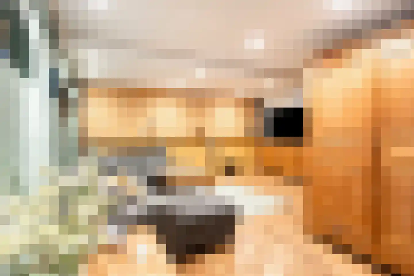 Veenhuizerweg 25 Heerhugowaard thumbnail 18