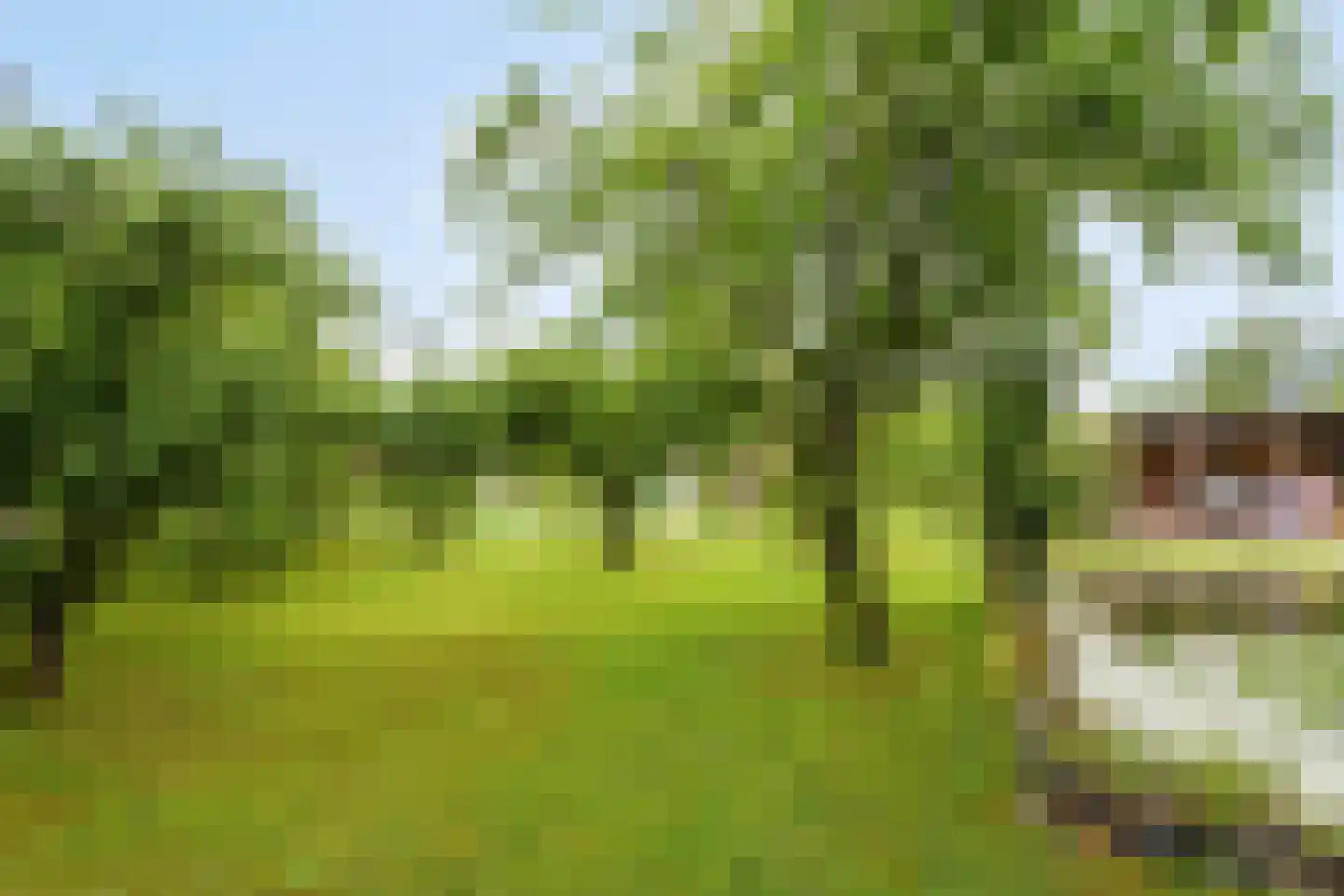 Veenhuizerweg 25 Heerhugowaard thumbnail 28