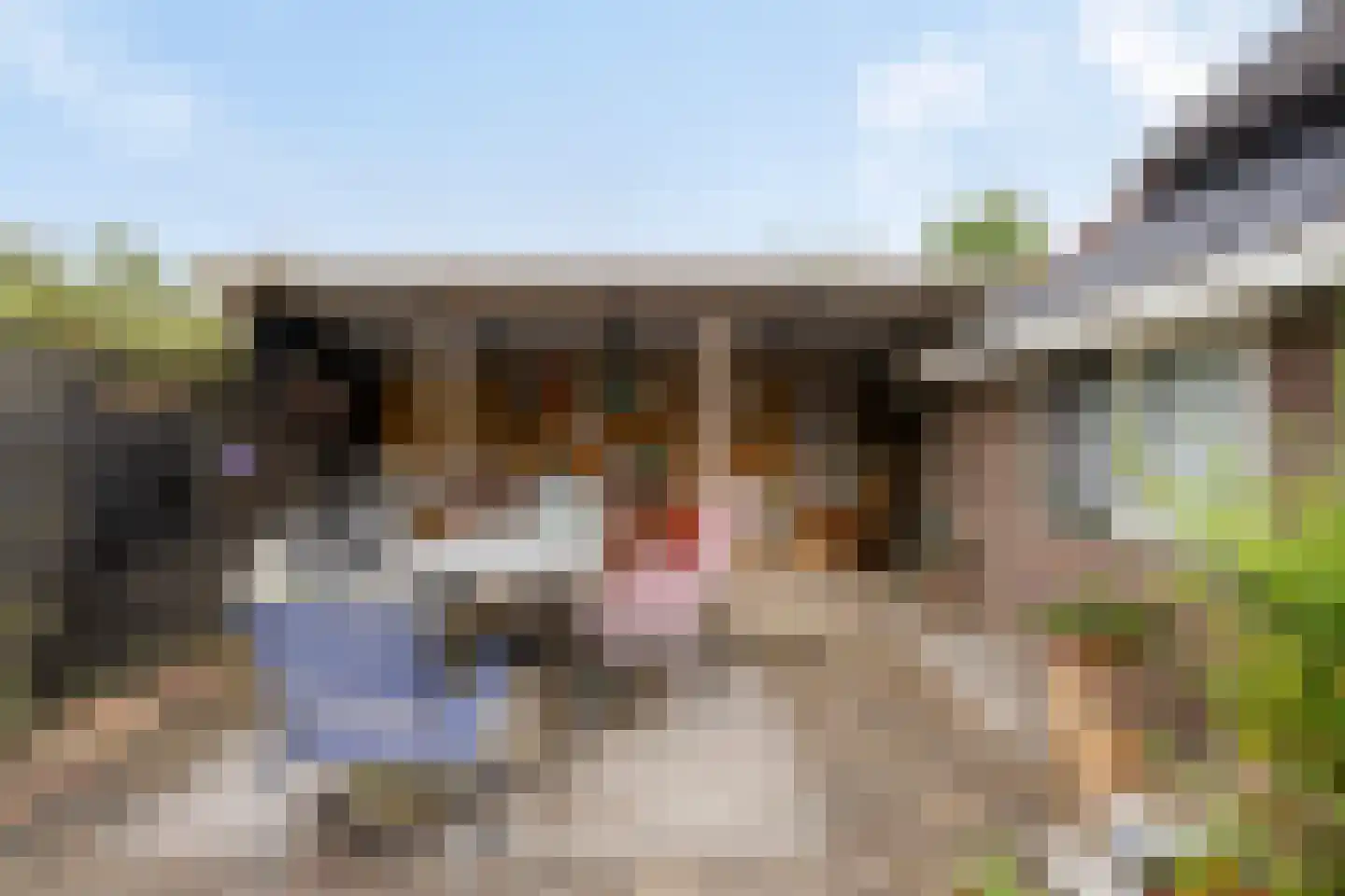 Veenhuizerweg 25 Heerhugowaard thumbnail 29