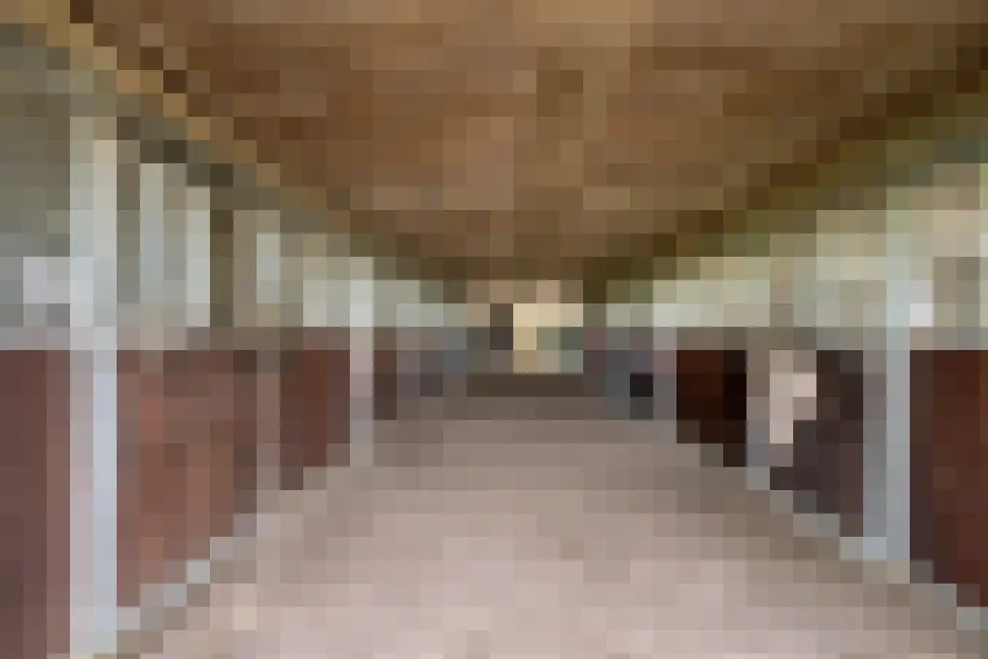 Veenhuizerweg 25 Heerhugowaard thumbnail 37