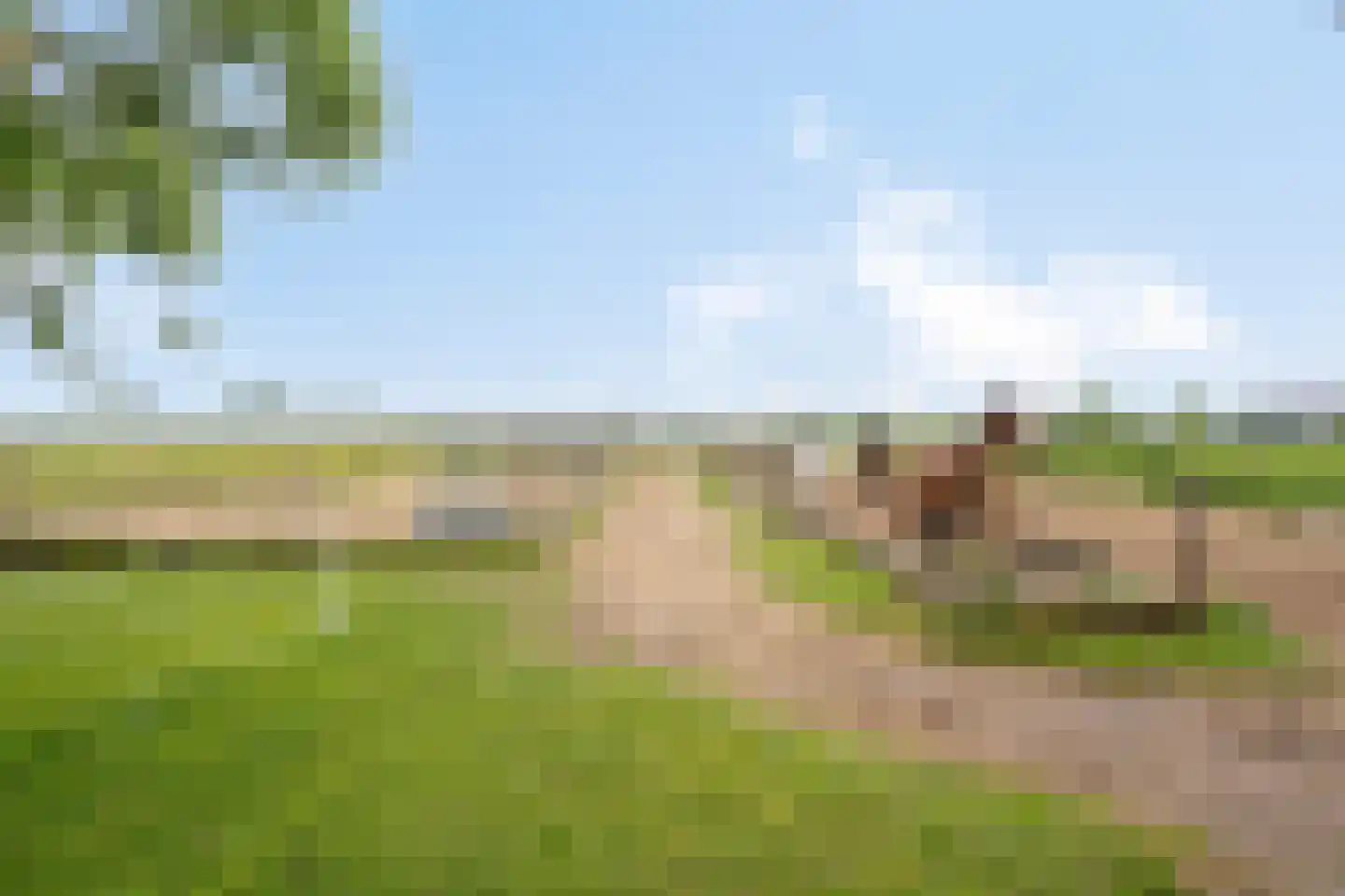 Veenhuizerweg 25 Heerhugowaard thumbnail 39