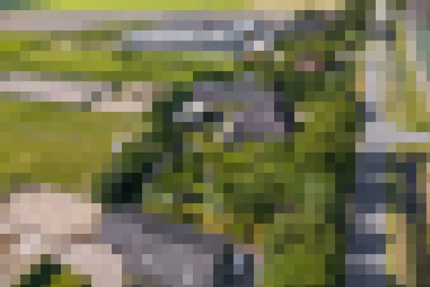 Veenhuizerweg 25 Heerhugowaard thumbnail 47