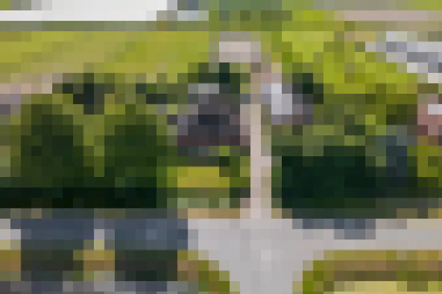 Veenhuizerweg 25 Heerhugowaard thumbnail 48