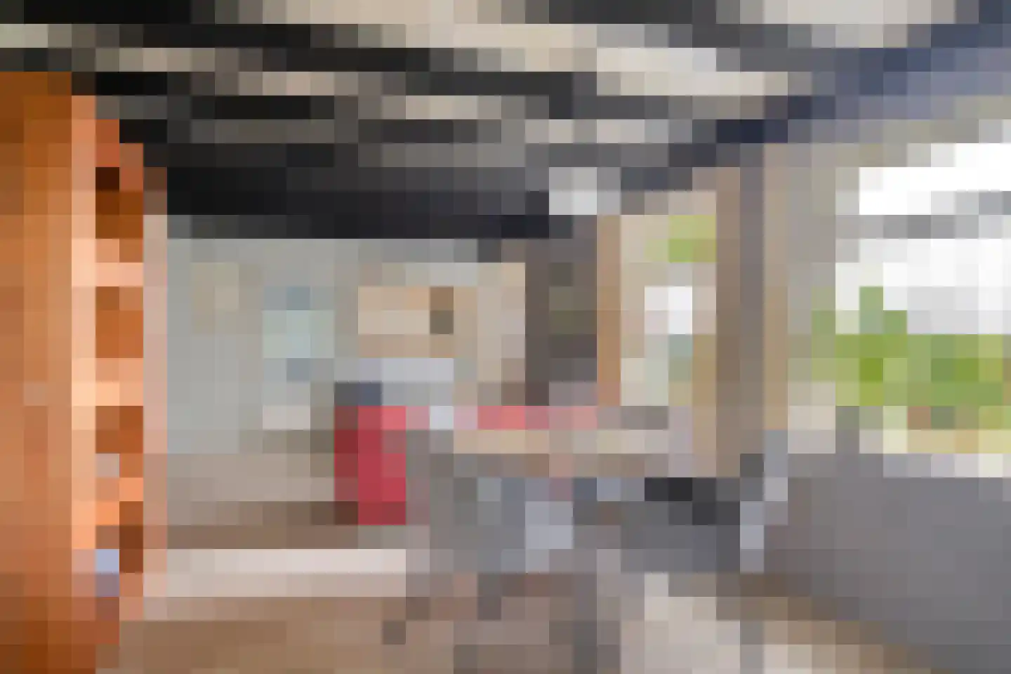 Veenhuizerweg 25 Heerhugowaard thumbnail 5