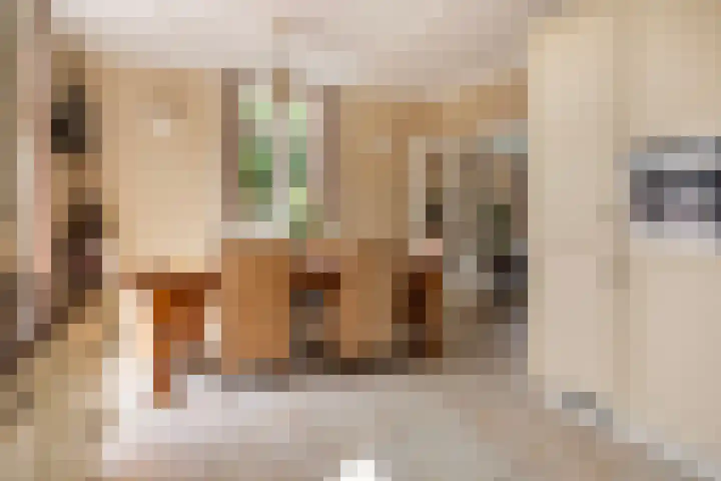 Veenhuizerweg 8 Apeldoorn thumbnail 14
