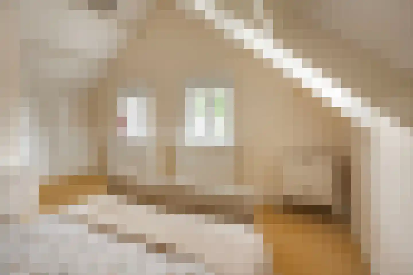 Veenhuizerweg 8 Apeldoorn thumbnail 30