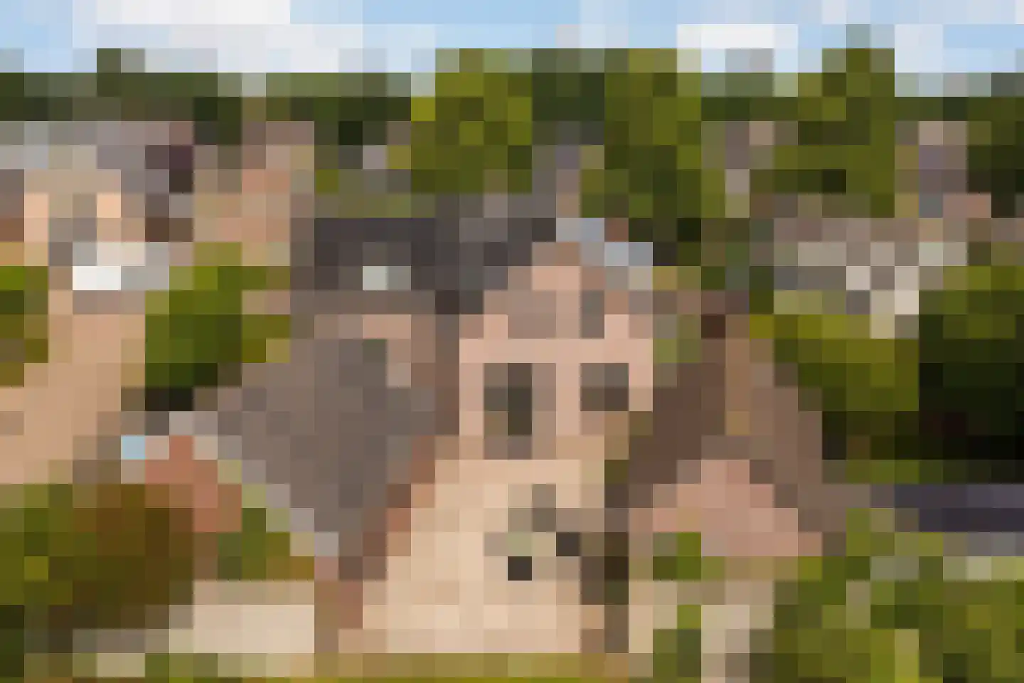 Veenhuizerweg 8 Apeldoorn thumbnail 38