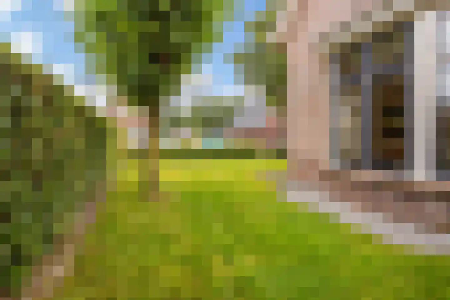 Veenhuizerweg 8 Apeldoorn thumbnail 41