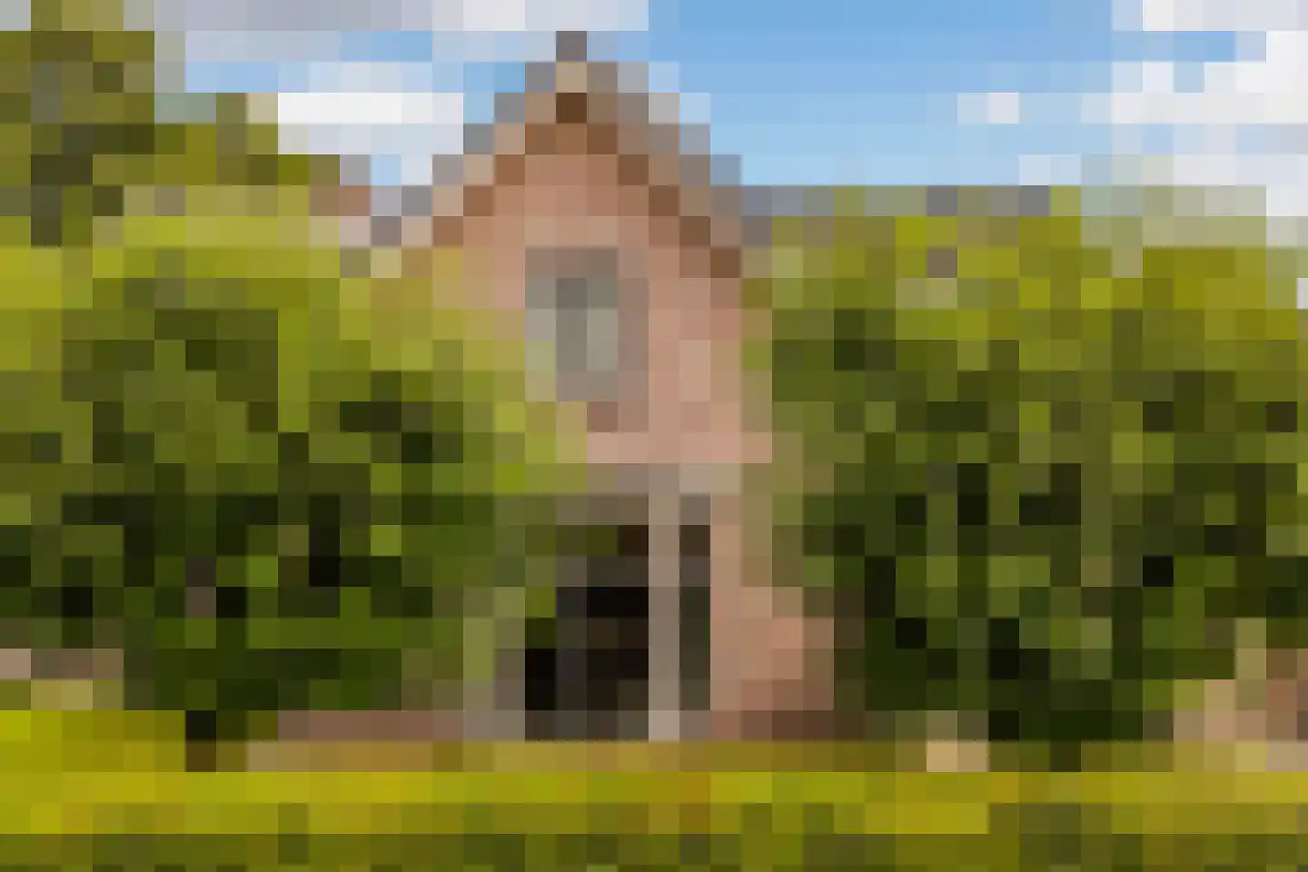 Veenhuizerweg 8 Apeldoorn thumbnail 46