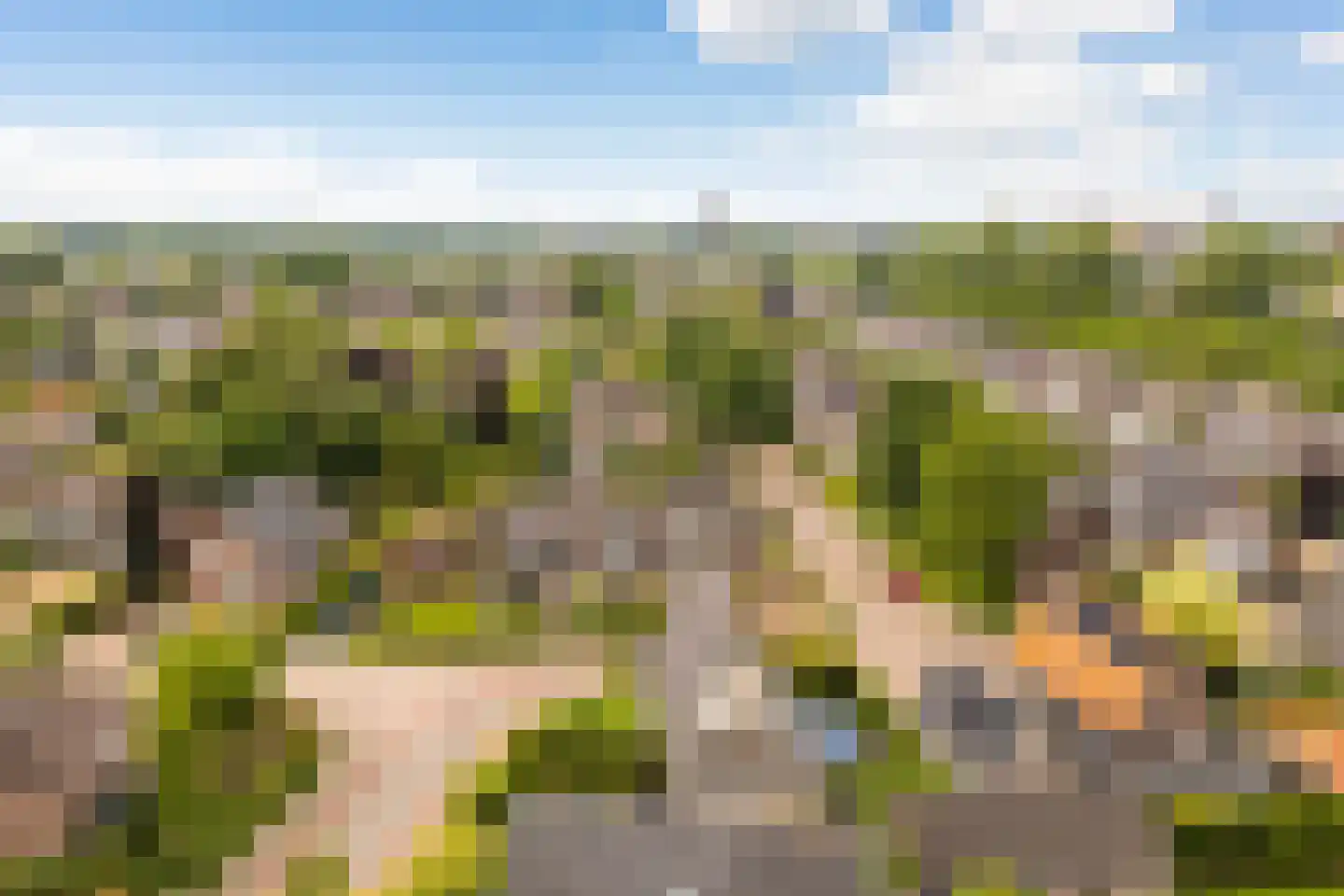 Veenhuizerweg 8 Apeldoorn thumbnail 47