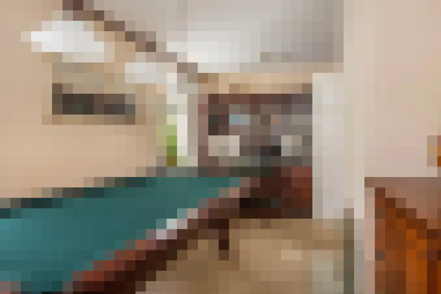 Veenhuizerweg 8 Apeldoorn thumbnail 8
