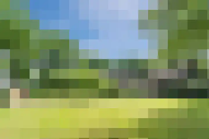 Veeningen 21 Veeningen thumbnail 4