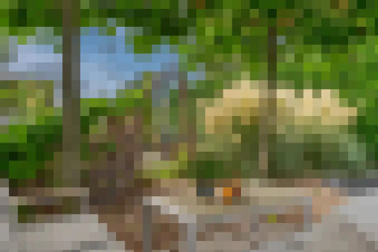 Veeningen 51 Veeningen thumbnail 76
