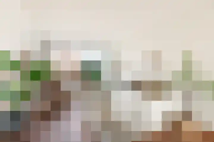 Veenislaan 15 Uitgeest thumbnail 12