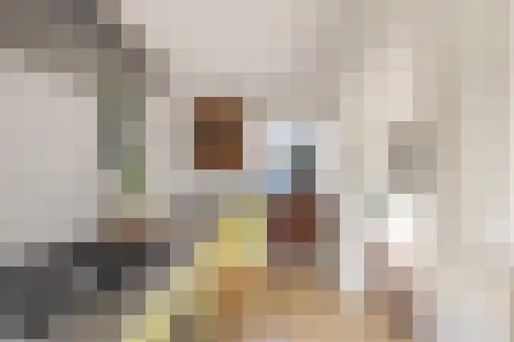 Veenislaan 15 Uitgeest thumbnail 16