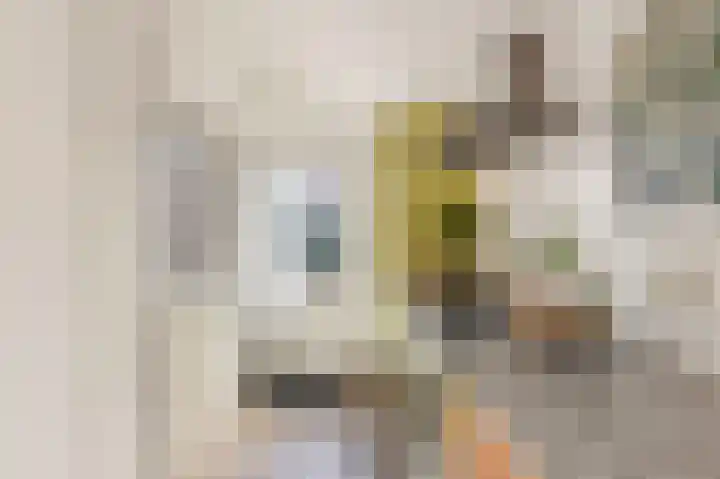Veenislaan 15 Uitgeest thumbnail 18