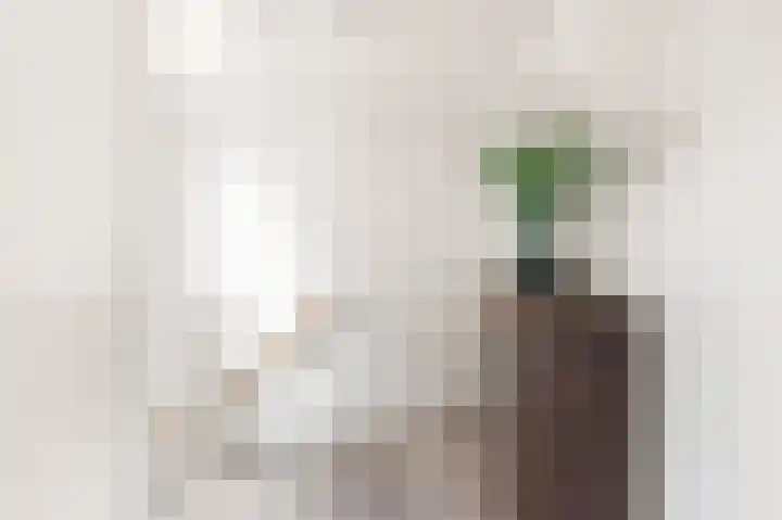 Veenislaan 15 Uitgeest thumbnail 22