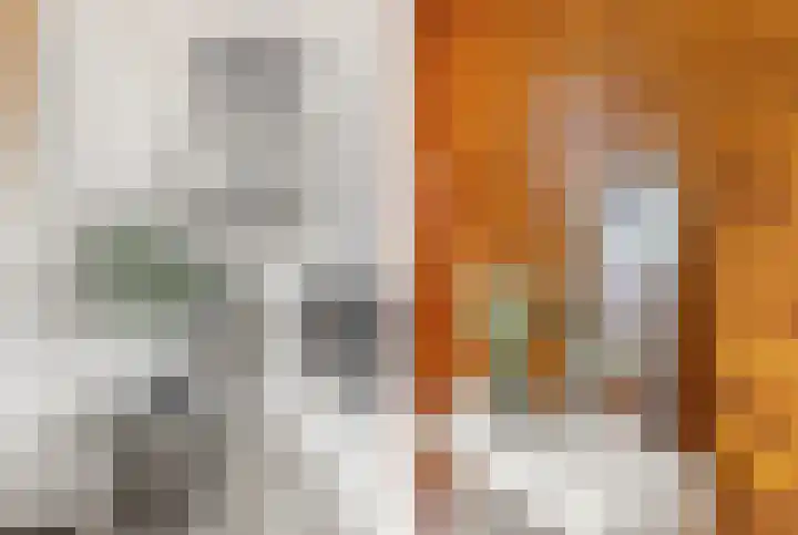 Veenislaan 15 Uitgeest thumbnail 30