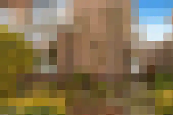 Veenislaan 15 Uitgeest thumbnail 45