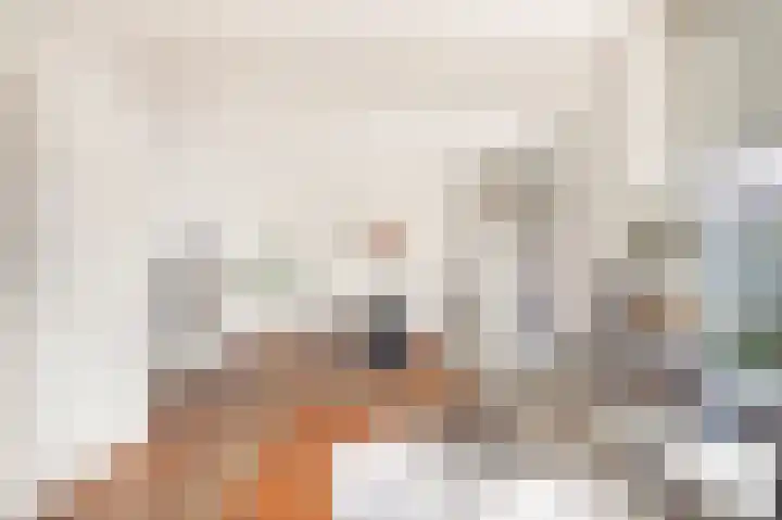 Veenislaan 15 Uitgeest thumbnail 8