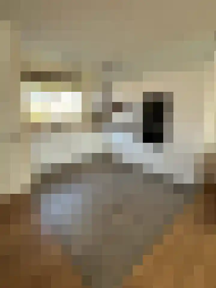 Veenislaan 6 Uitgeest thumbnail 16