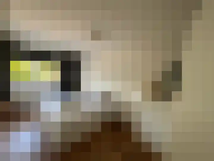 Veenislaan 6 Uitgeest thumbnail 17
