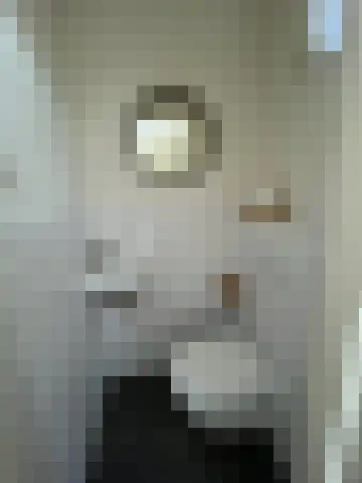 Veenislaan 6 Uitgeest thumbnail 19