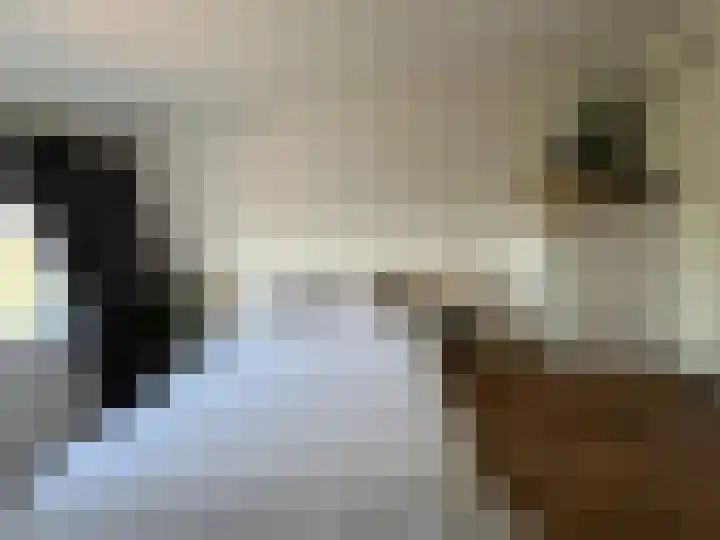 Veenislaan 6 Uitgeest thumbnail 21