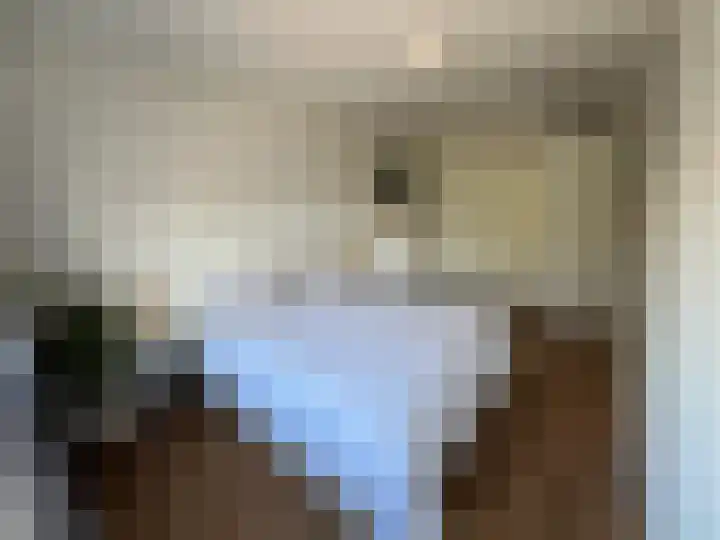 Veenislaan 6 Uitgeest thumbnail 22