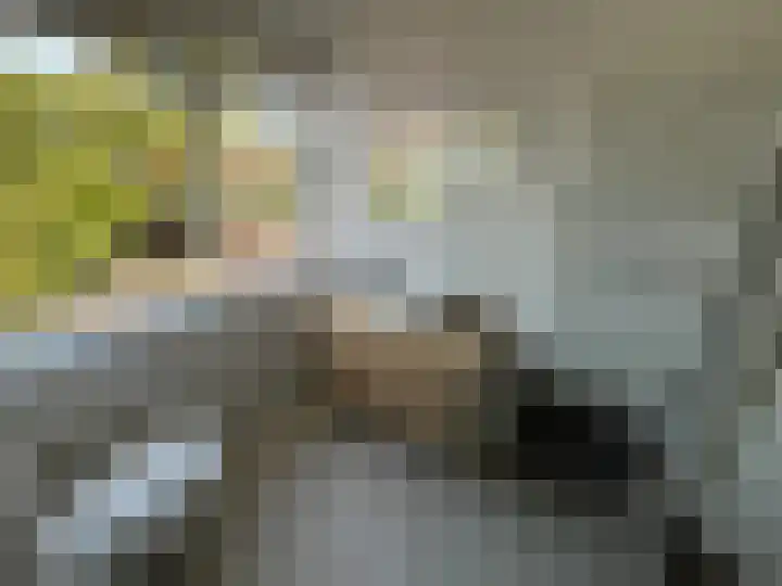 Veenislaan 6 Uitgeest thumbnail 28