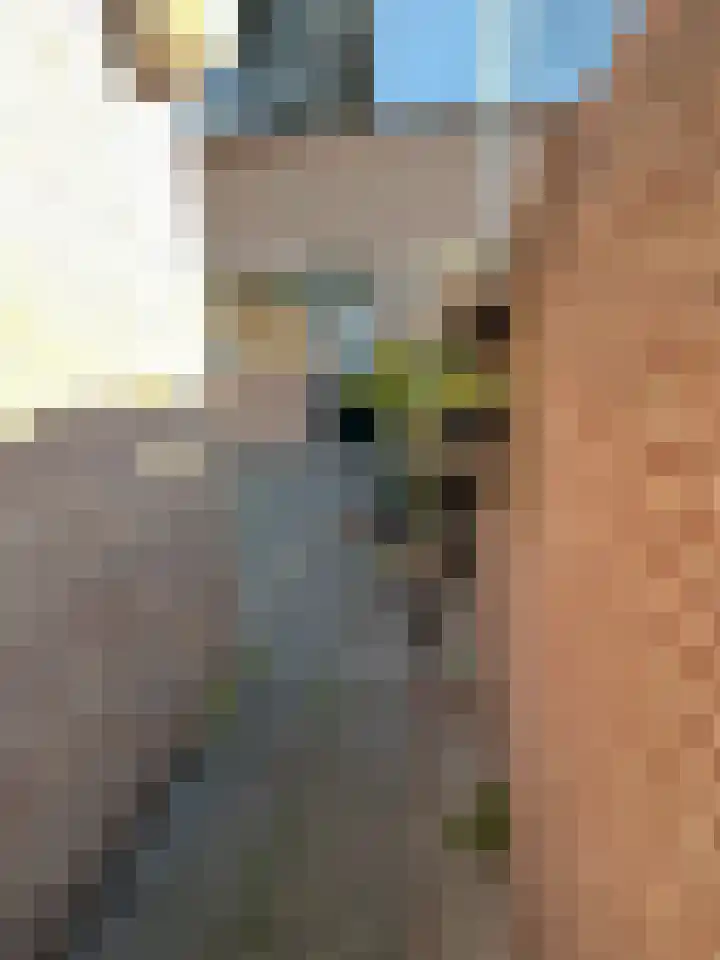 Veenislaan 6 Uitgeest thumbnail 33