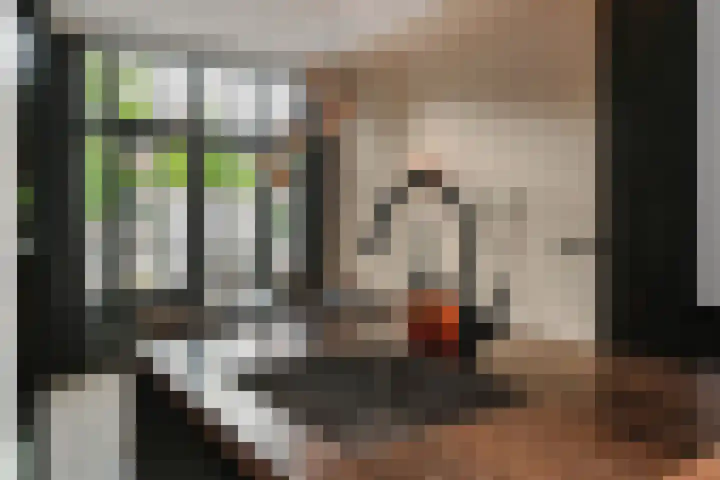 Veenkade 159 Den Haag thumbnail 16