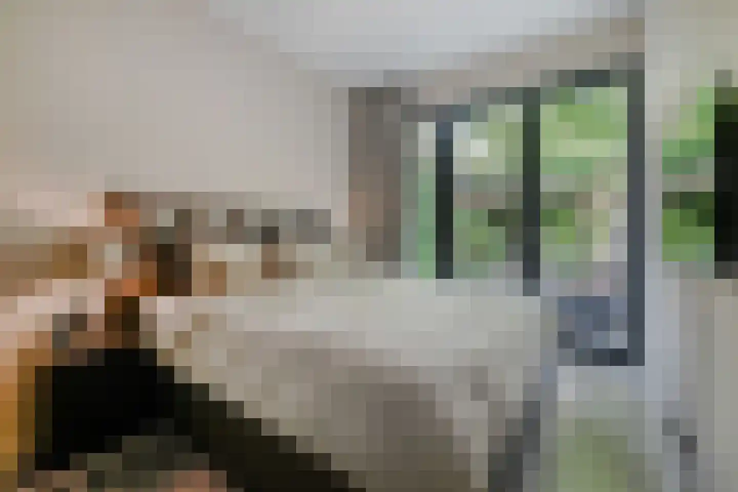 Veenkade 159 Den Haag thumbnail 18