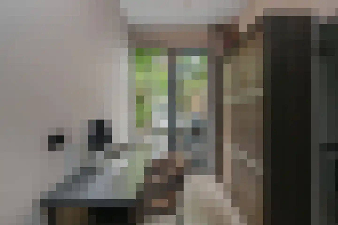 Veenkade 159 Den Haag thumbnail 21