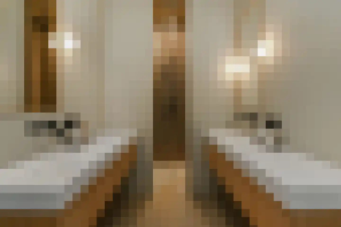 Veenkade 159 Den Haag thumbnail 22