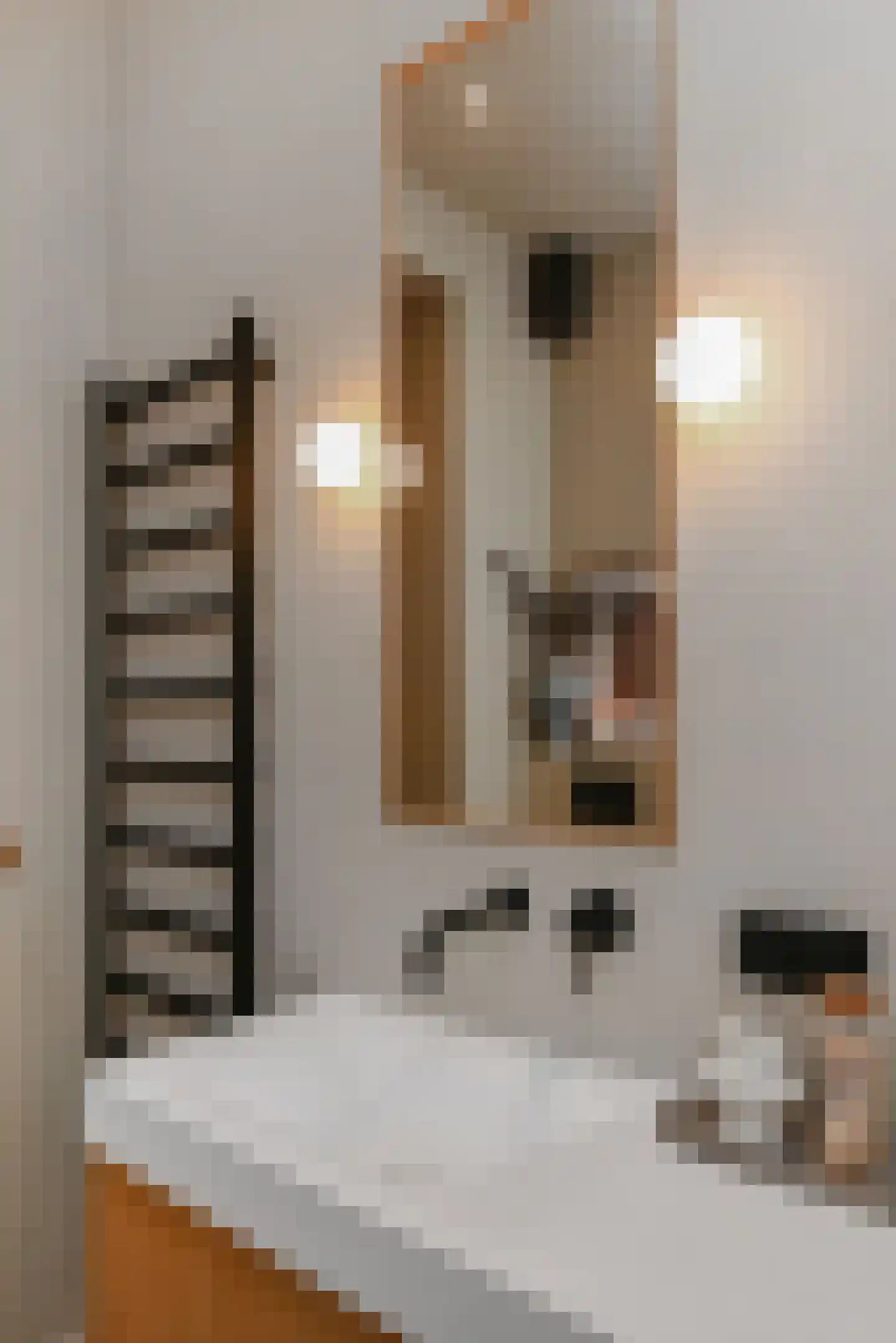 Veenkade 159 Den Haag thumbnail 23