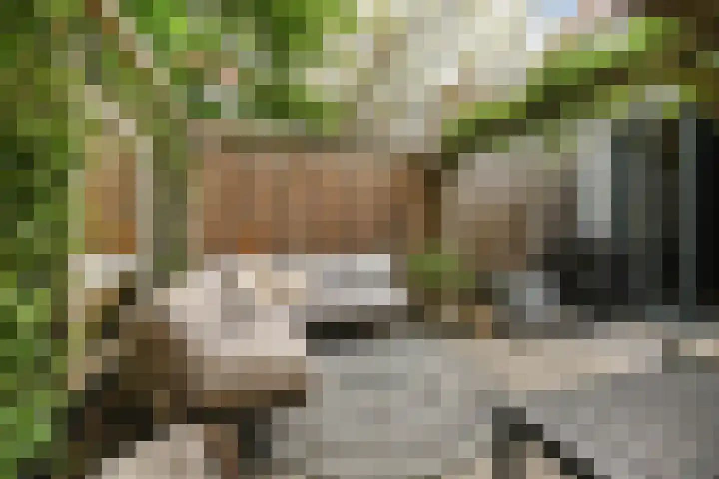 Veenkade 159 Den Haag thumbnail 26