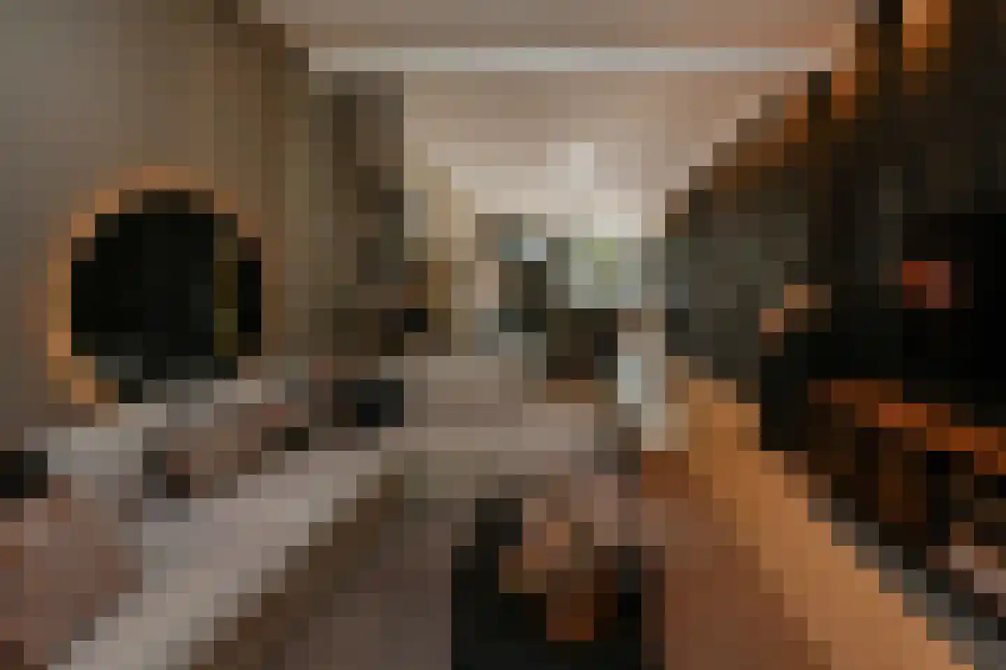 Veenkade 159 Den Haag thumbnail 4
