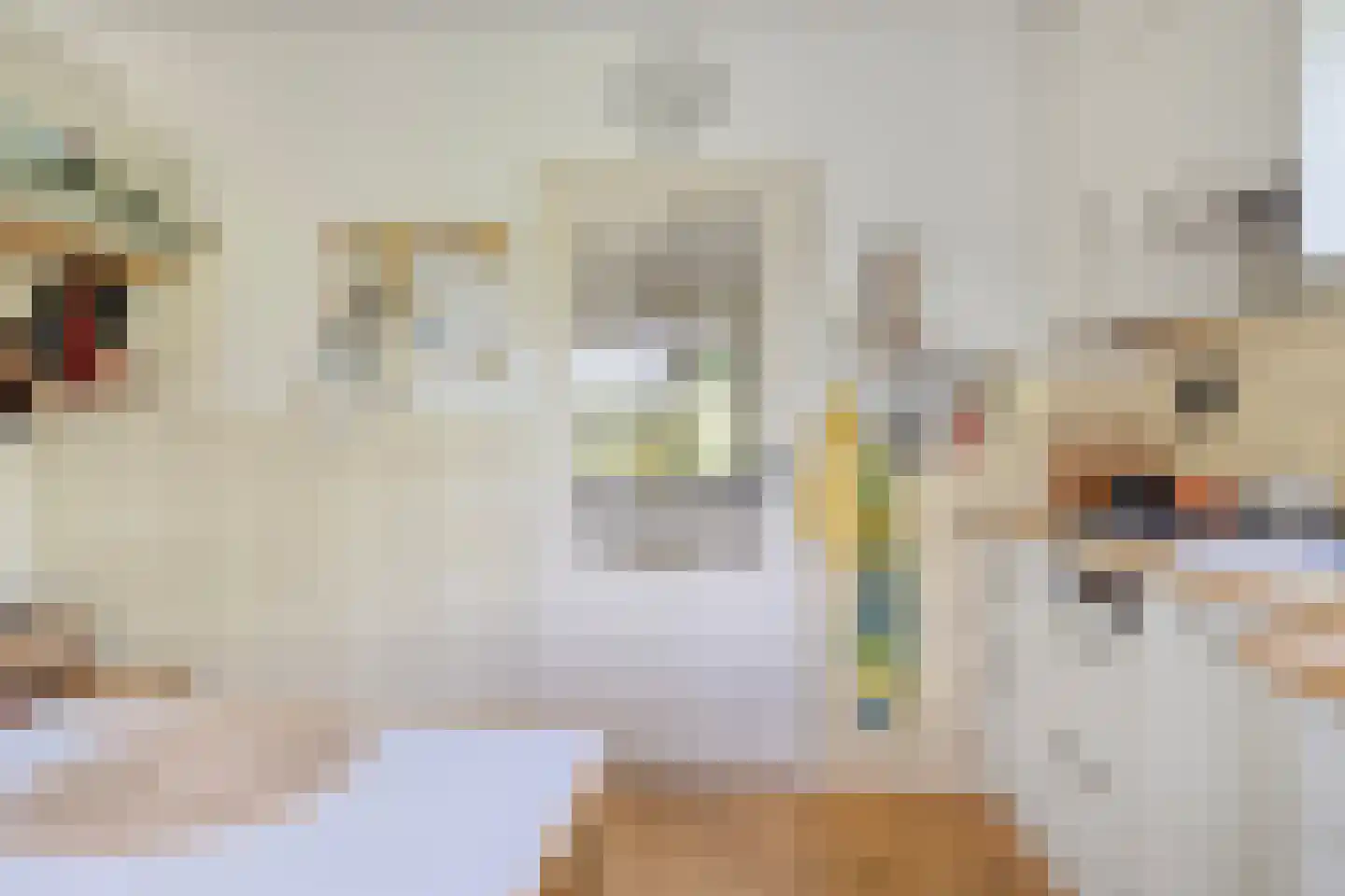 Veenkade 4 Maarssen thumbnail 20