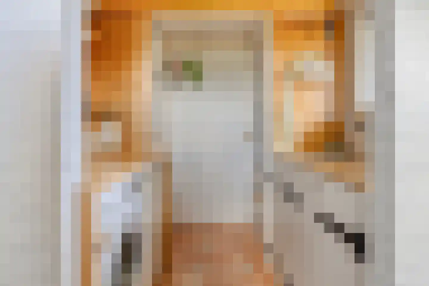 Veenkade 4 Maarssen thumbnail 21